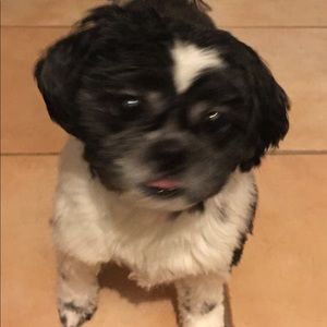 Meet your Posher, Siomara